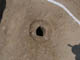 FileNo.119-018.jpg