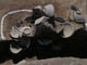 FileNo.119-020.jpg
