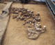 FileNo.119-051.jpg