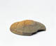 FileNo.119-106.jpg