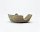 FileNo.119-157.jpg