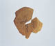 FileNo.119-182.jpg