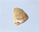 FileNo.119-192.jpg