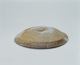 FileNo.119-225.jpg
