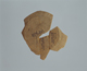 FileNo.119-333.jpg