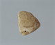 FileNo.119-343.jpg