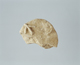 FileNo.119-345.jpg