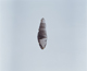 FileNo.119-347.jpg