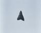 FileNo.119-351.jpg