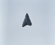 FileNo.119-352.jpg