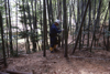FileNo.119-S009.png