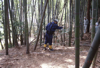 FileNo.119-S010.png