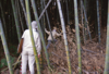 FileNo.119-S017.png