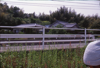 FileNo.119-S023.png