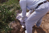 FileNo.119-S026.png