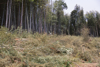 FileNo.119-S029.png