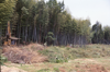 FileNo.119-S032.png