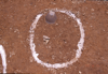 FileNo.119-S041.png