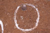 FileNo.119-S042.png