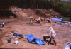 FileNo.119-S043.png