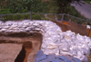 FileNo.119-S047.png