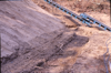 FileNo.119-S050.png