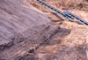 FileNo.119-S051.png