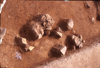 FileNo.119-S079.png