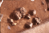 FileNo.119-S080.png