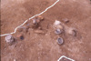 FileNo.119-S084.png