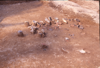 FileNo.119-S088.png