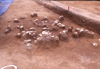 FileNo.119-S089.png