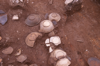 FileNo.119-S090.png