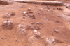 FileNo.119-S092.png