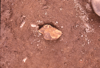 FileNo.119-S093.png