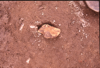 FileNo.119-S094.png