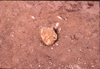 FileNo.119-S097.png