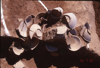 FileNo.119-S105.png