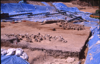 FileNo.119-S114.png