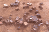 FileNo.119-S126.png