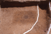 FileNo.119-S131.png