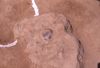 FileNo.119-S145.png