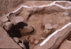 FileNo.119-S147.png