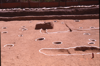 FileNo.119-S152.png