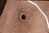 FileNo.119-S163.png