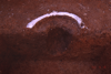 FileNo.119-S181.png