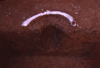 FileNo.119-S184.png