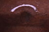 FileNo.119-S185.png