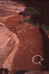 FileNo.119-S193.png
