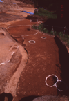 FileNo.119-S194.png